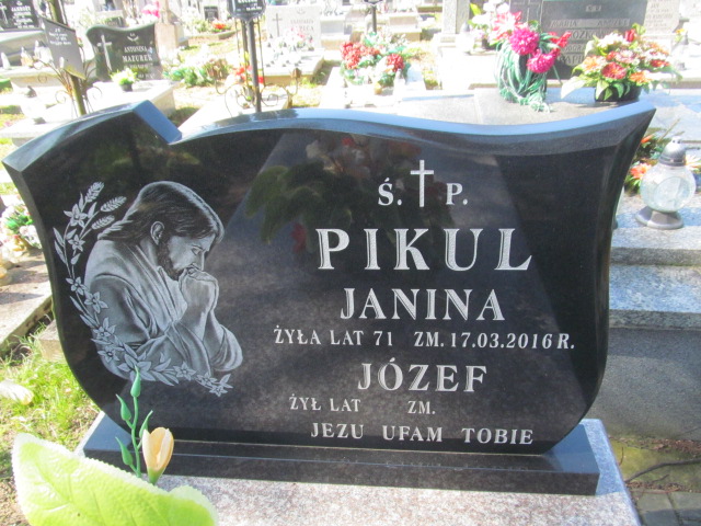 Józef Pikul Goraj - Grobonet - Wyszukiwarka osób pochowanych