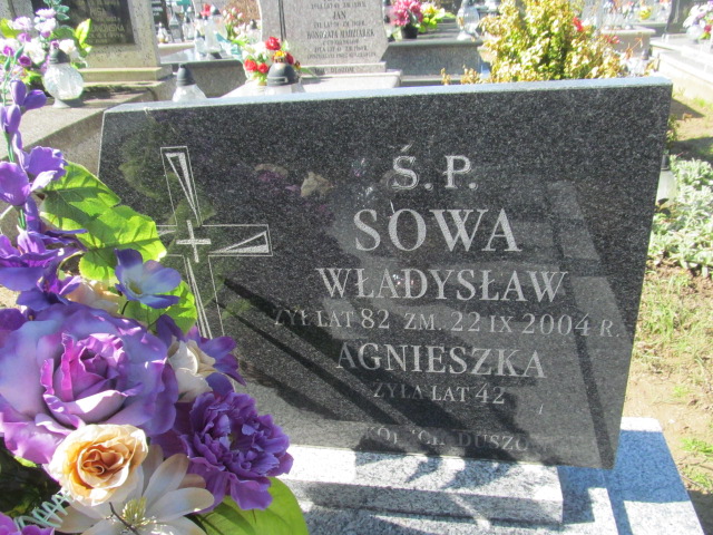 Grób Władysław Sowa